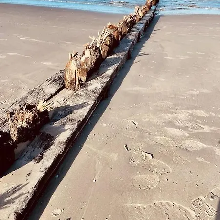 Geschmackvolle Zentral Und Strandnah Gelegen. Wlan Kostenlos. شقة نورديرني